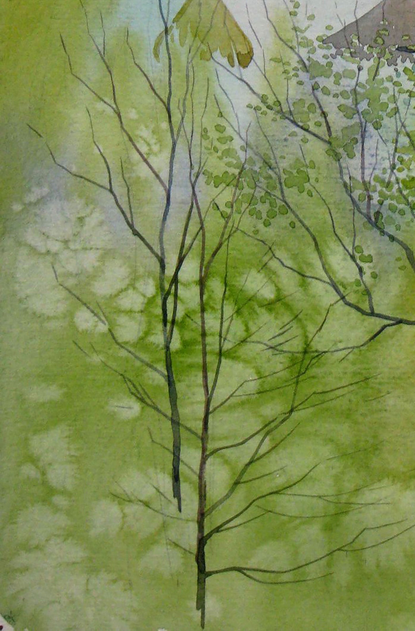 Watercolor painting Green foliage Kalebets Valery