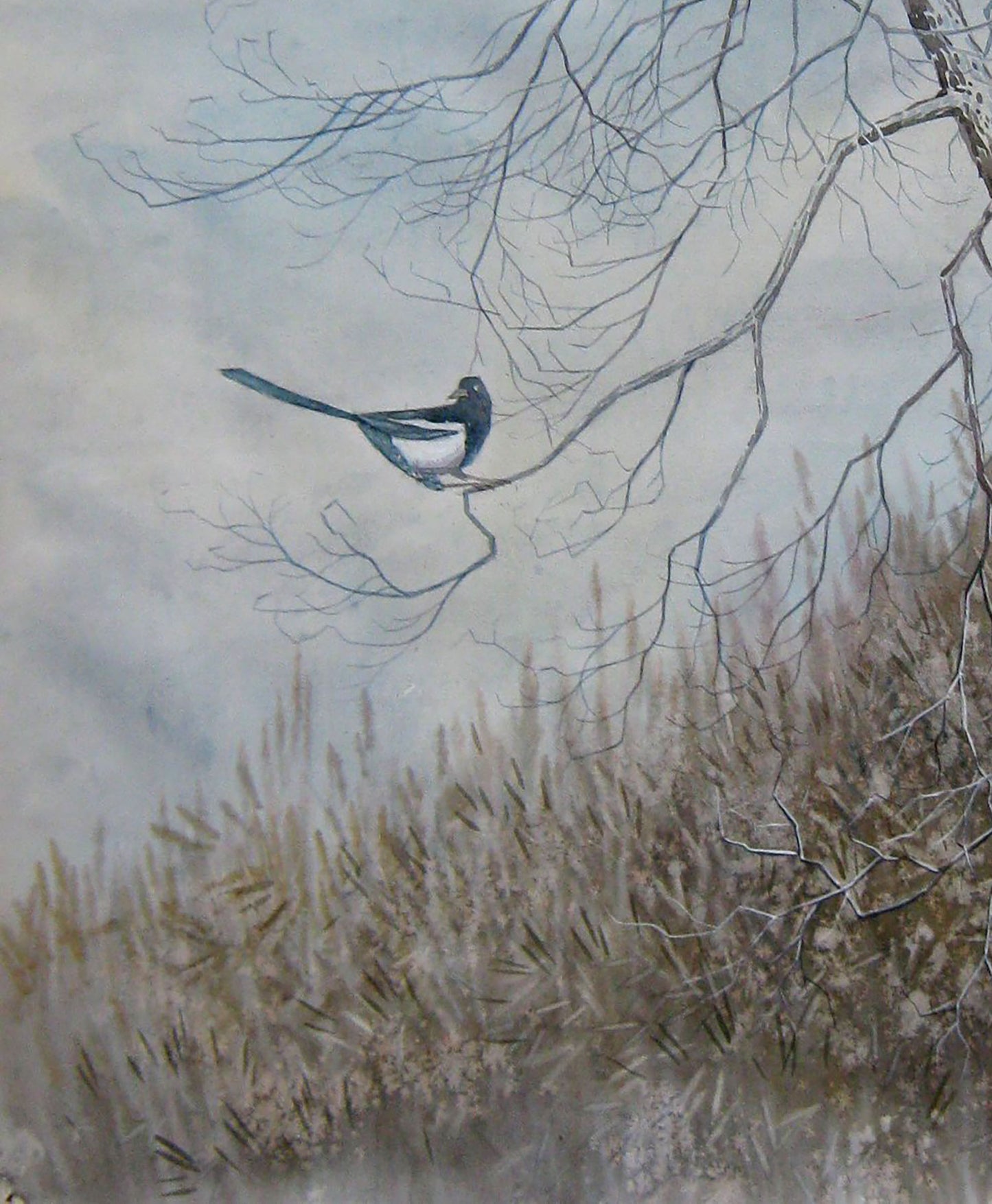 Watercolor painting Magpie on bare branches Valery Savenets