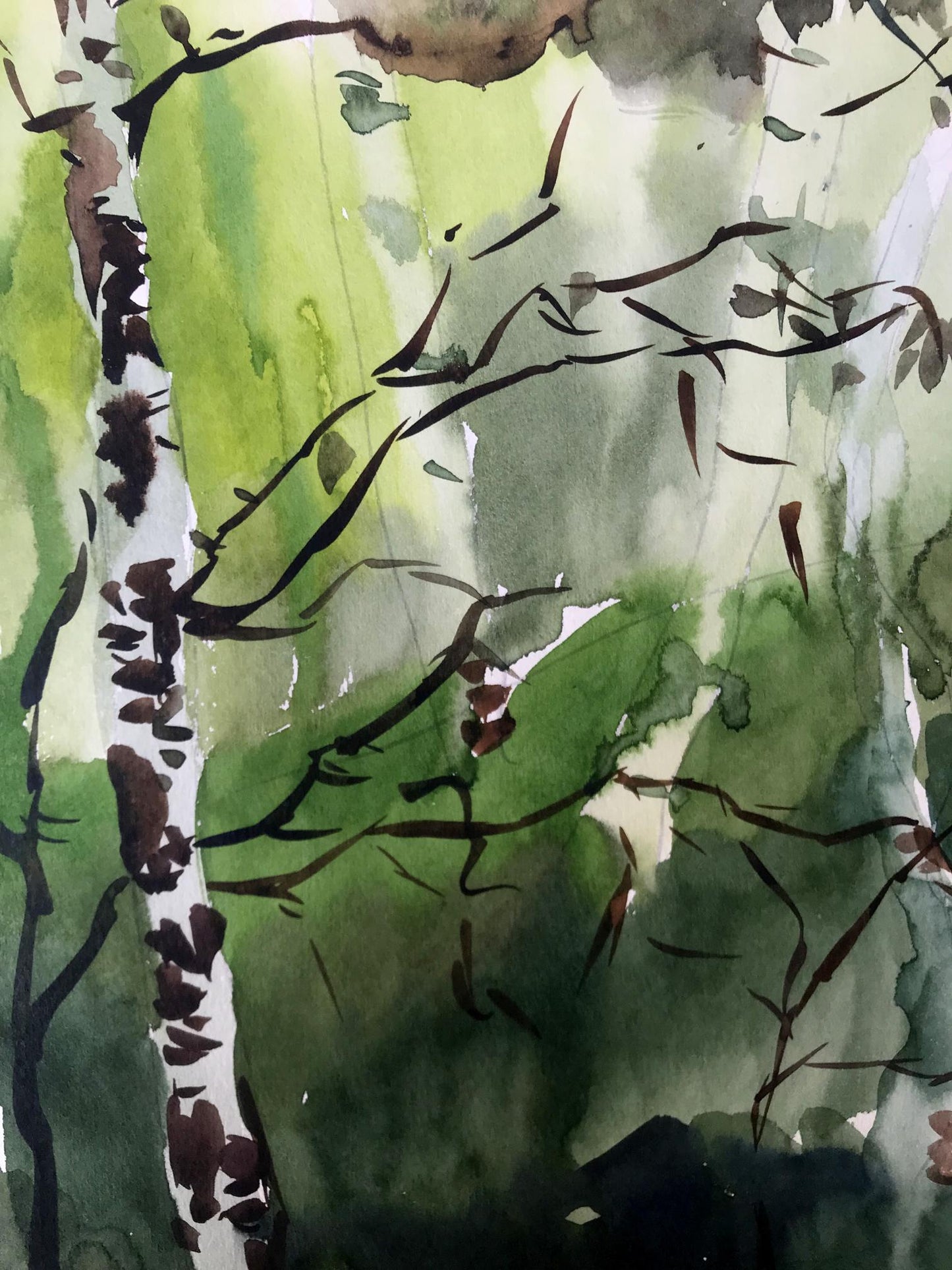 Watercolor painting Birch forest Litvinov Oleg Arkad'yevich