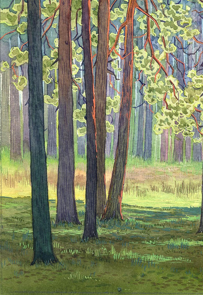 Watercolor painting In the green forest Savenets Valery