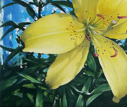 Oil painting Day-lily Vasily Korkishko