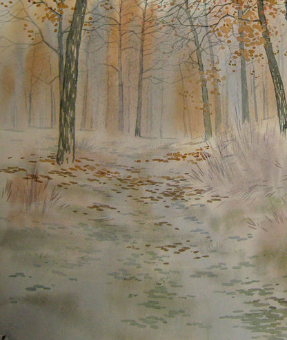 Winter Forest Nature Landscape 