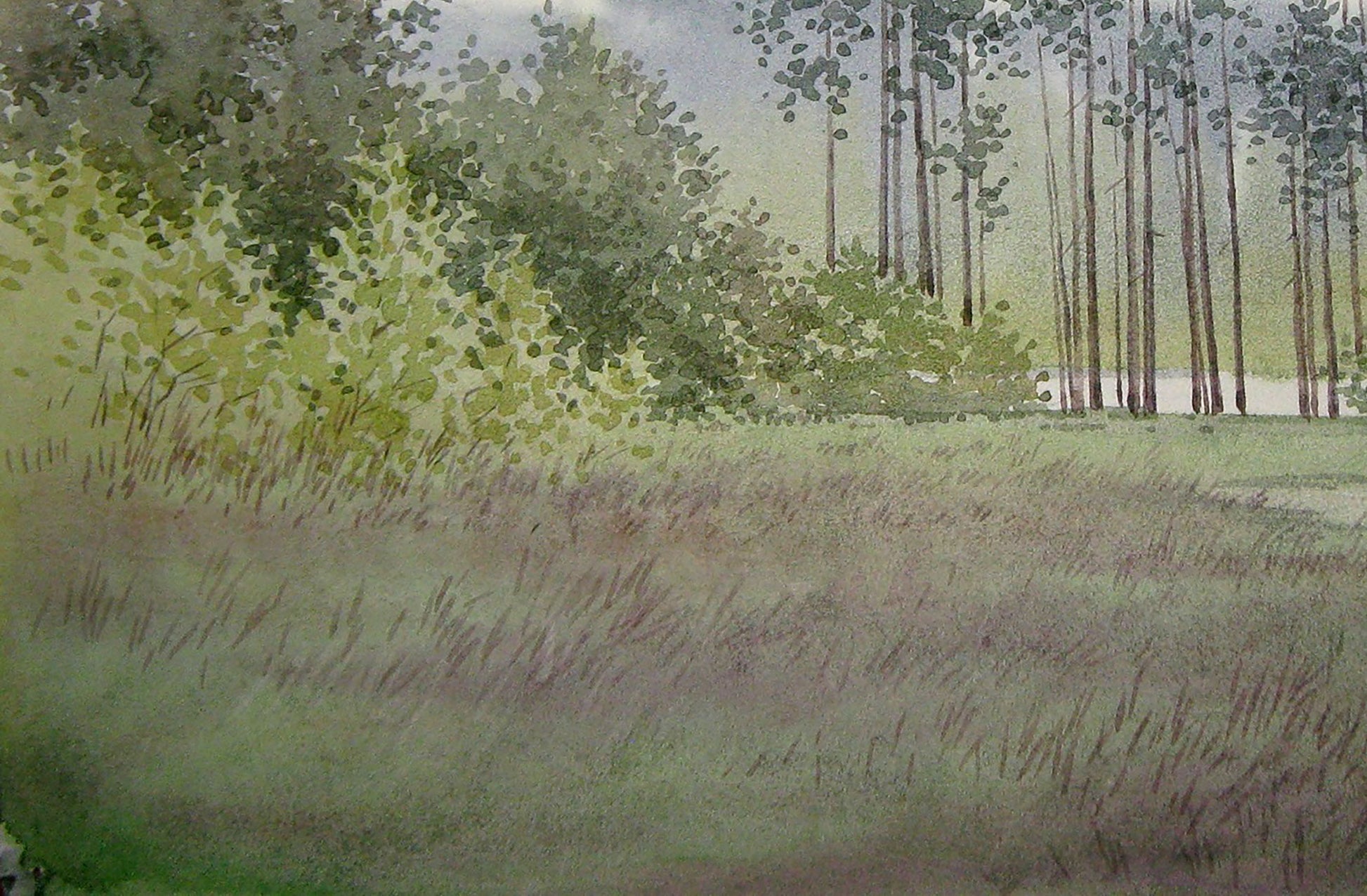 Valery Savenets portrays a pause amidst the trees in his watercolor painting titled "Forest Halt"