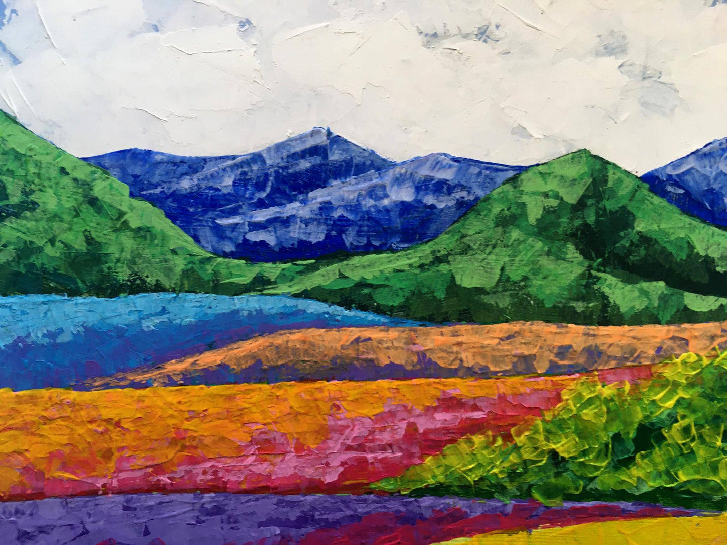 Oil painting Fresh air in the mountains Zadorozhnya V. V.