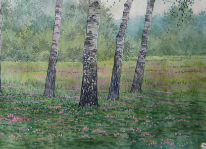 Watercolor painting Birch thicket Savenets Valery