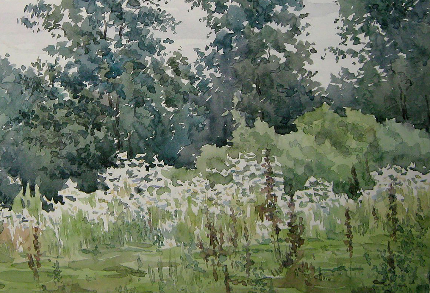 Watercolor painting Dense forest Savenets Valery