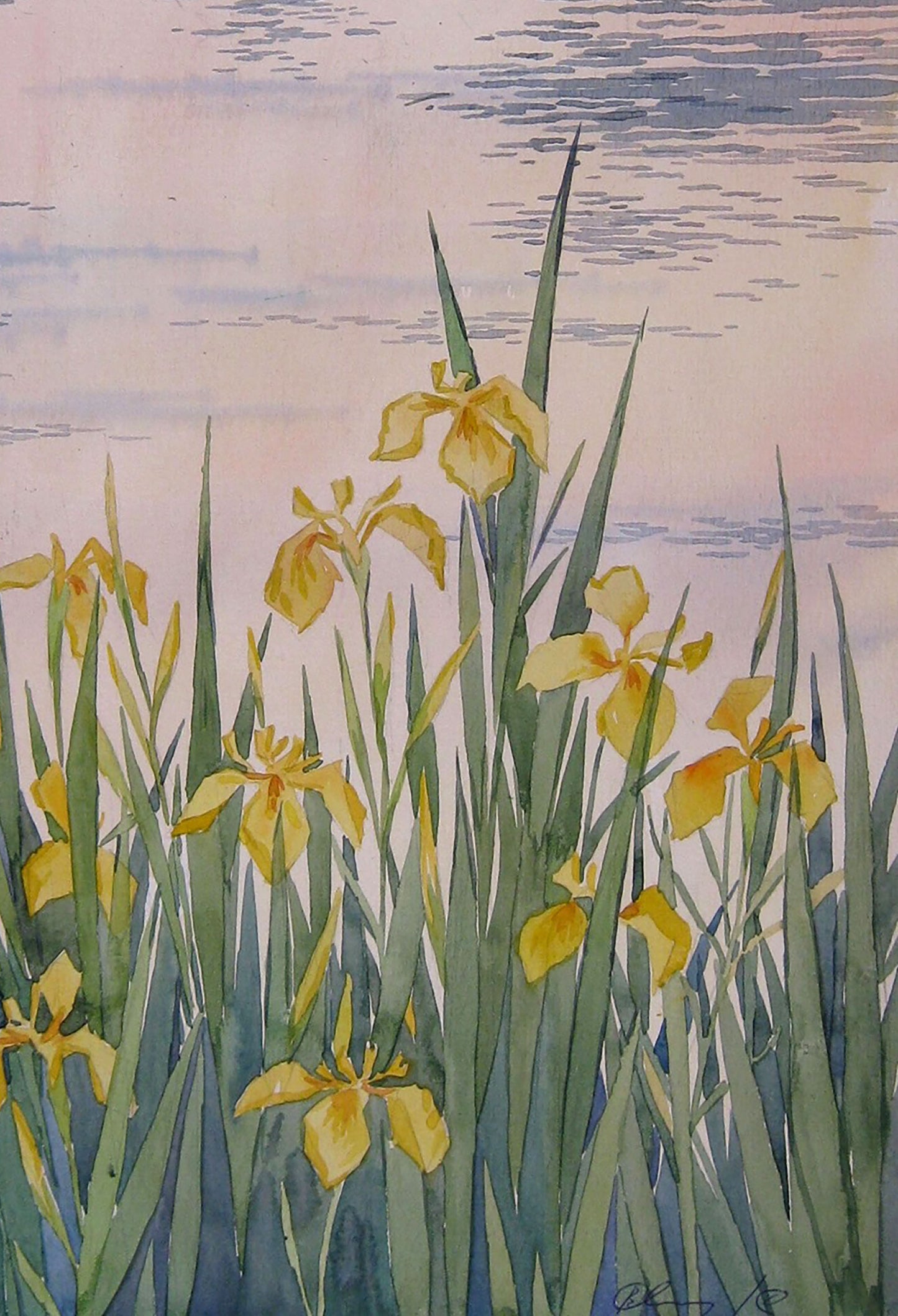 Watercolor painting Irises Savenets Valery