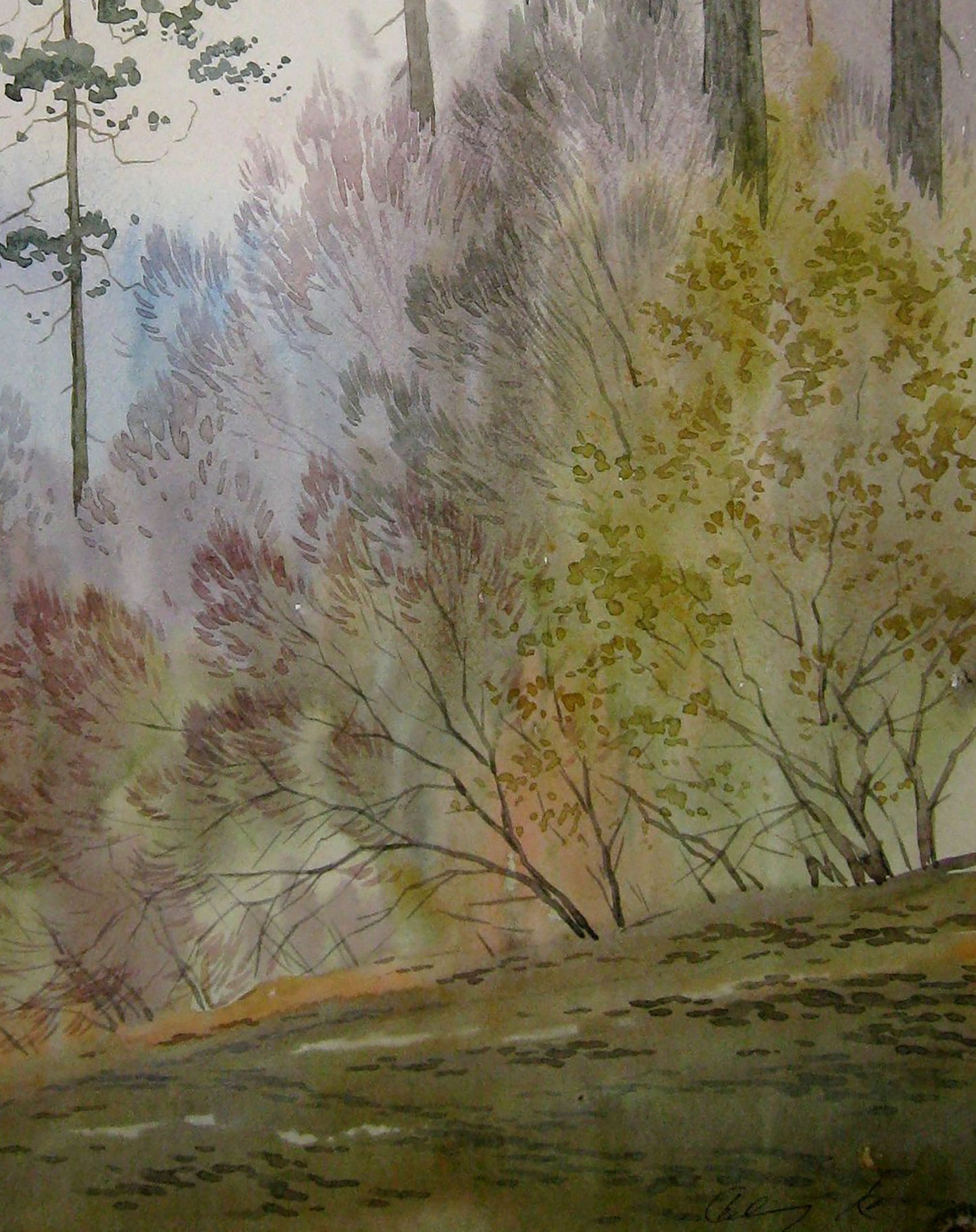 Watercolor painting At the edge of the forest Savenets Valery