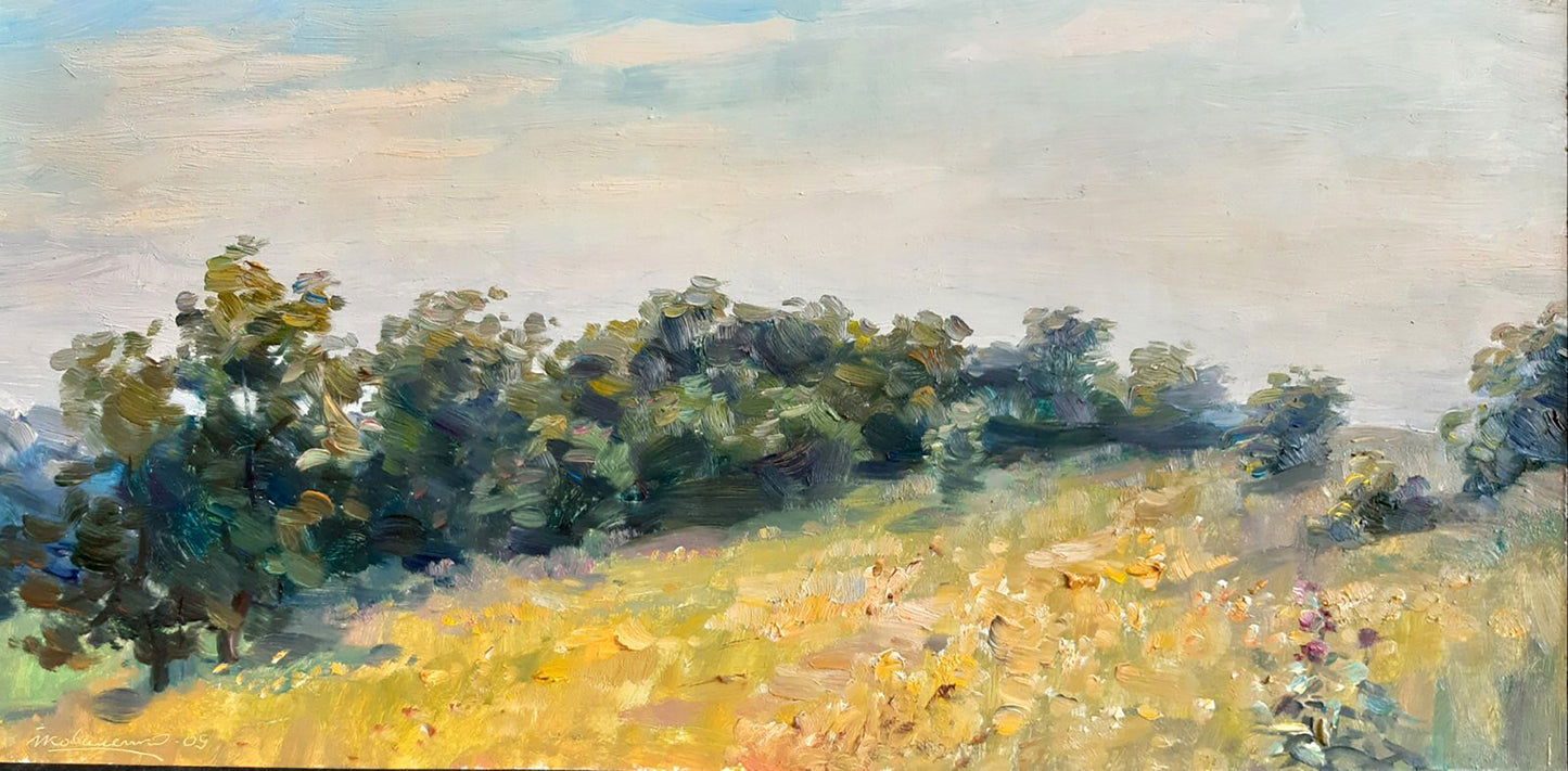 Oil painting Landscape of fields Kovalenko Ivan Mikhailovich
