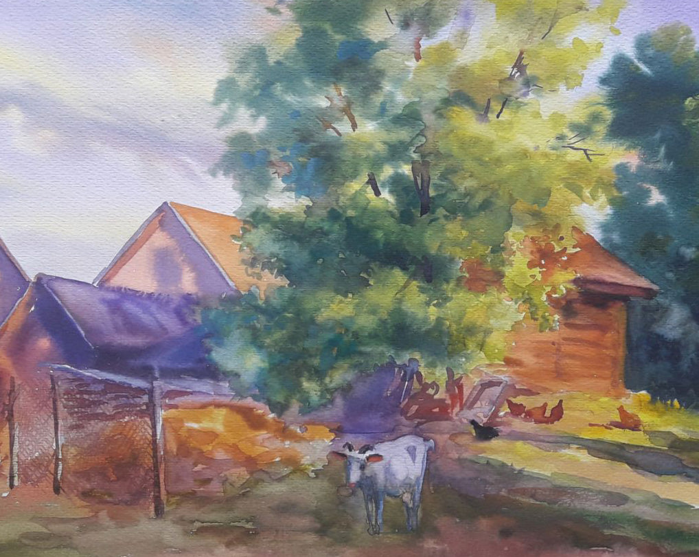 Rural landscape 