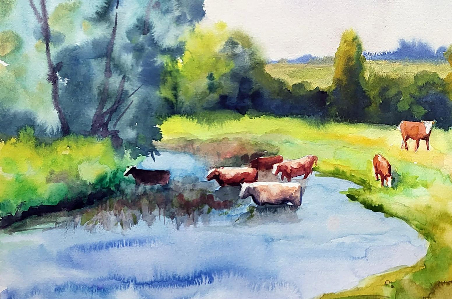 Rural landscape 