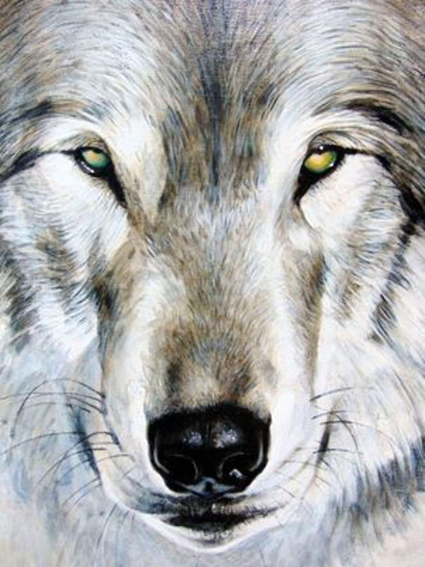 Oil painting The look of the wolf Goncharenko S.
