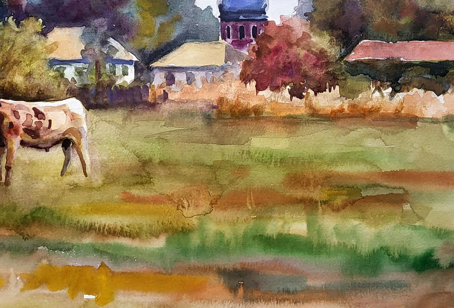 Rural landscape 