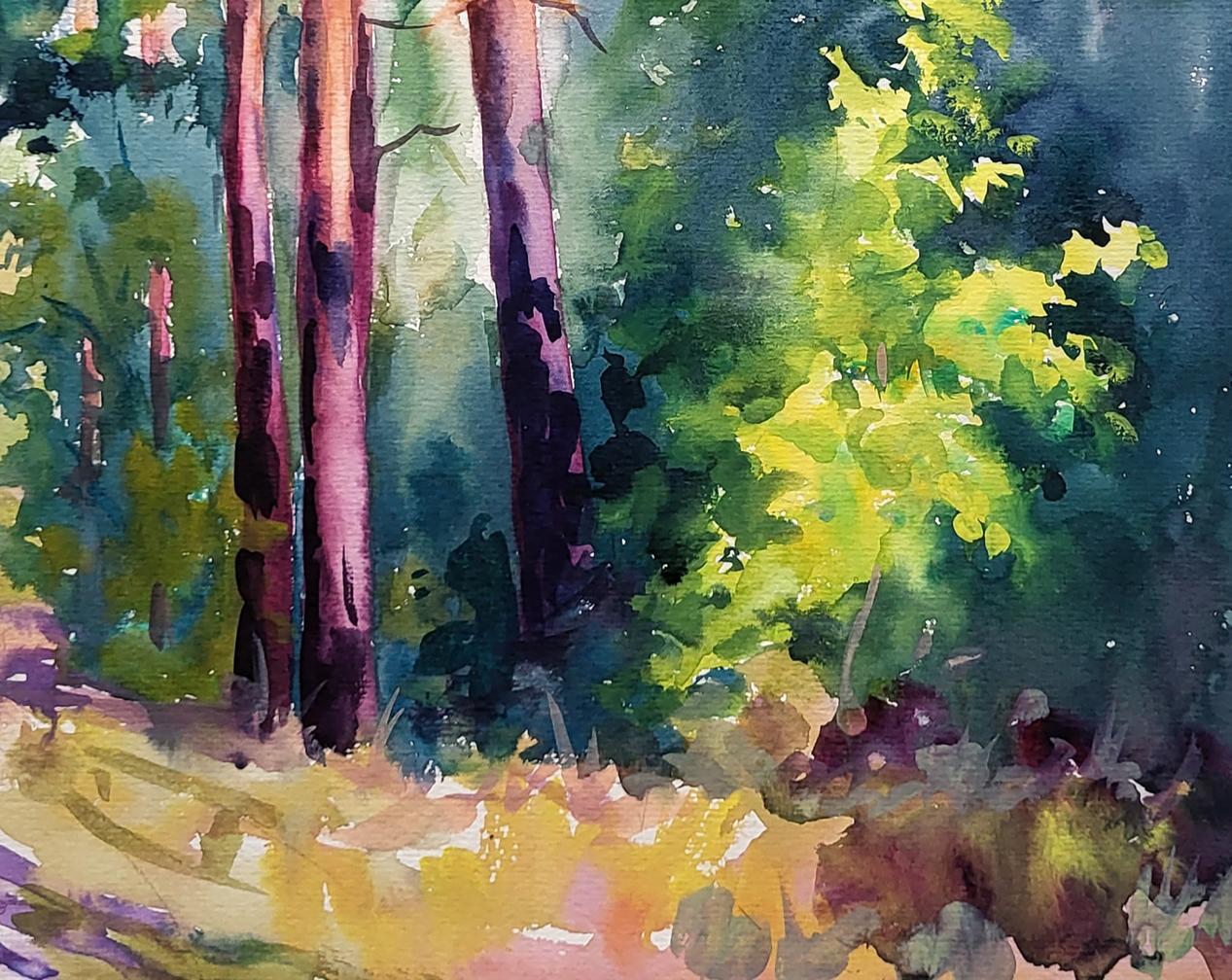 Forest landscape