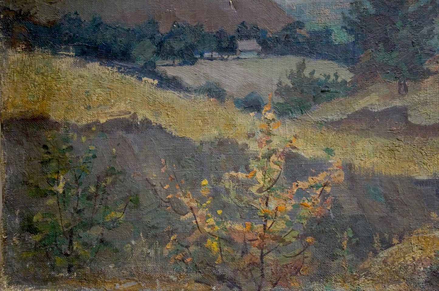 Oil painting Evening landscape Koshevoy Victor Ivanovich