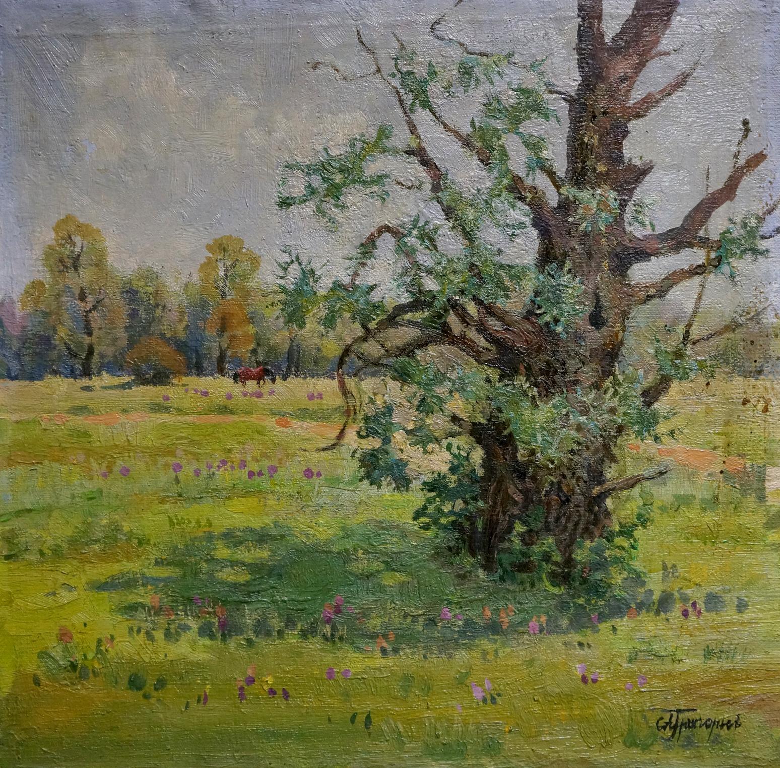 Oil painting Willow Grigoryev Sergey Alekseevich