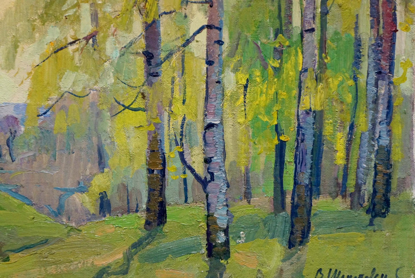Oil painting Birch thicket Shepetovsky Vitaly Yakovlevich