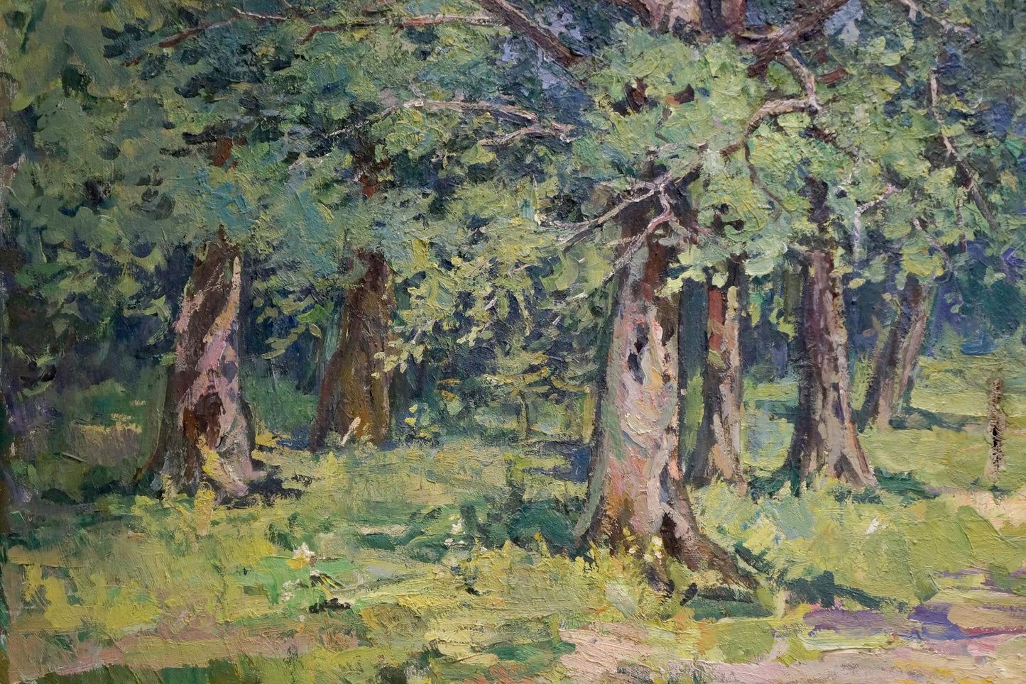 Oil painting Sunny forest landscape Unknown artist