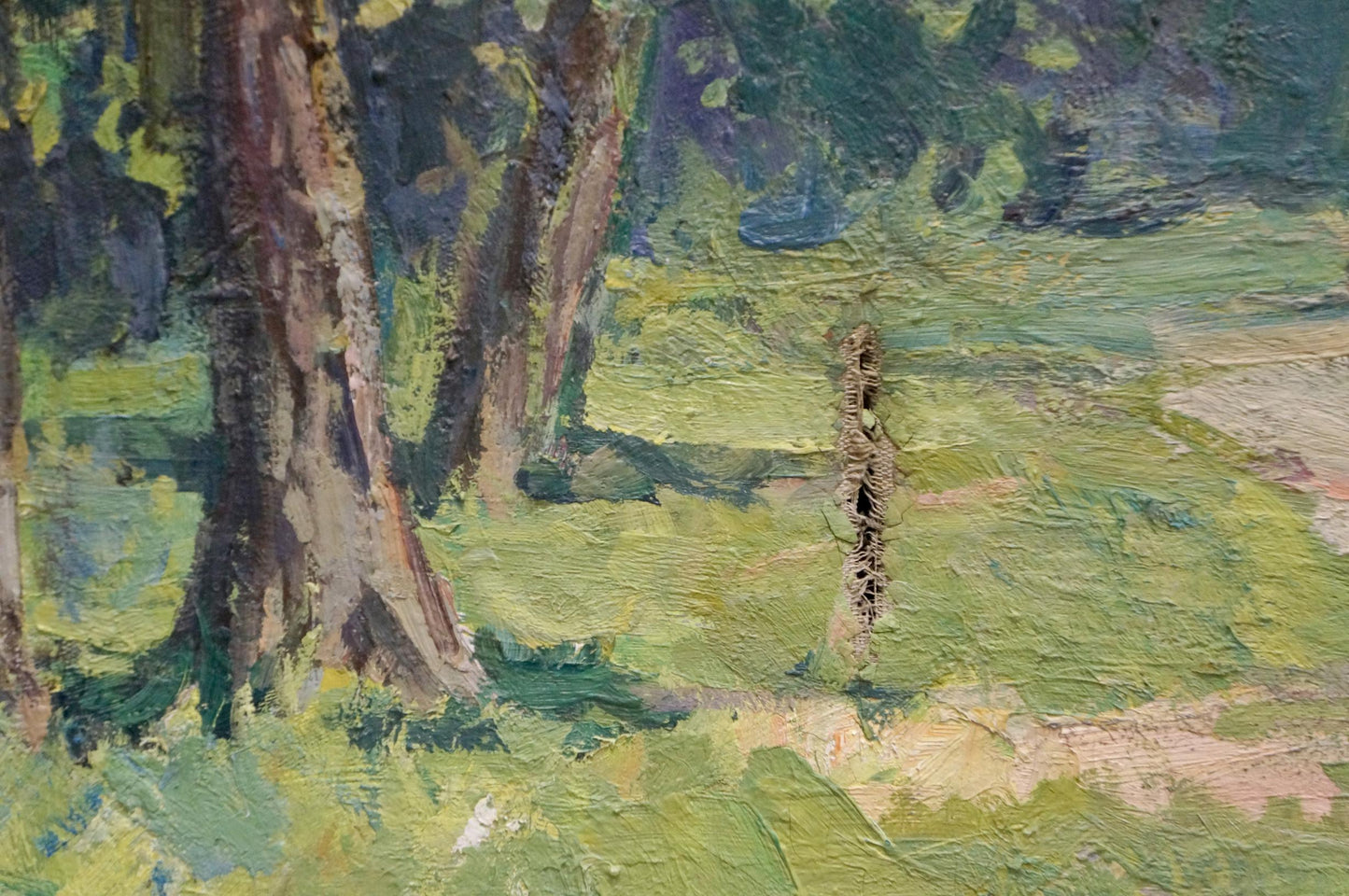 Oil painting Sunny forest landscape Unknown artist