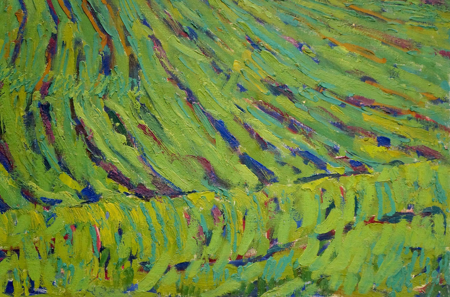 Fields portrayed in an oil painting by Dmitry Andreevich Chvala