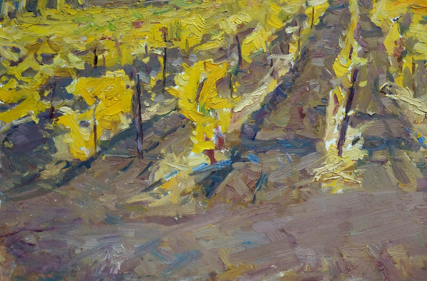 Oil painting Vineyards Nagulyak Petr Ivanovich