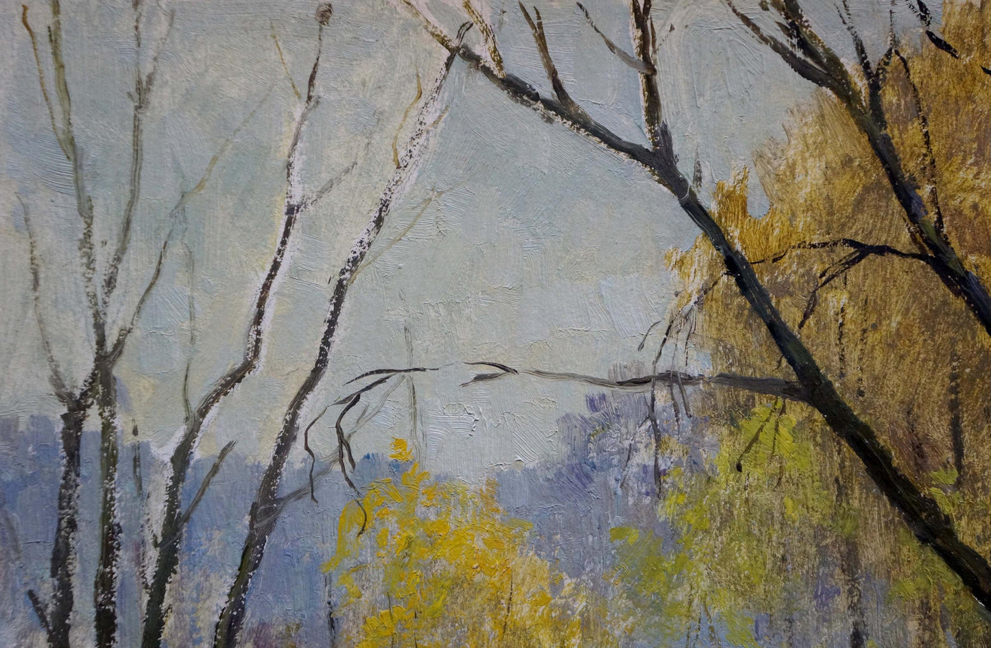 Oil painting Landscape in the forest Sakhnenko Viktor Ivanovich