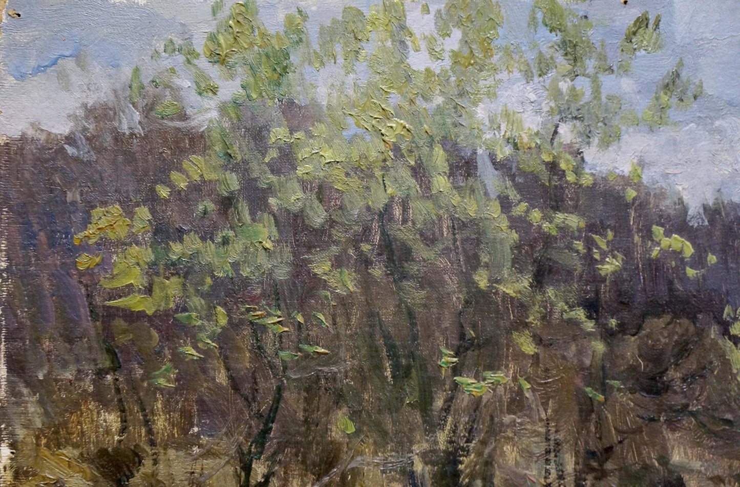 Oil painting After the rain Korzh Vladimir Demyanovich