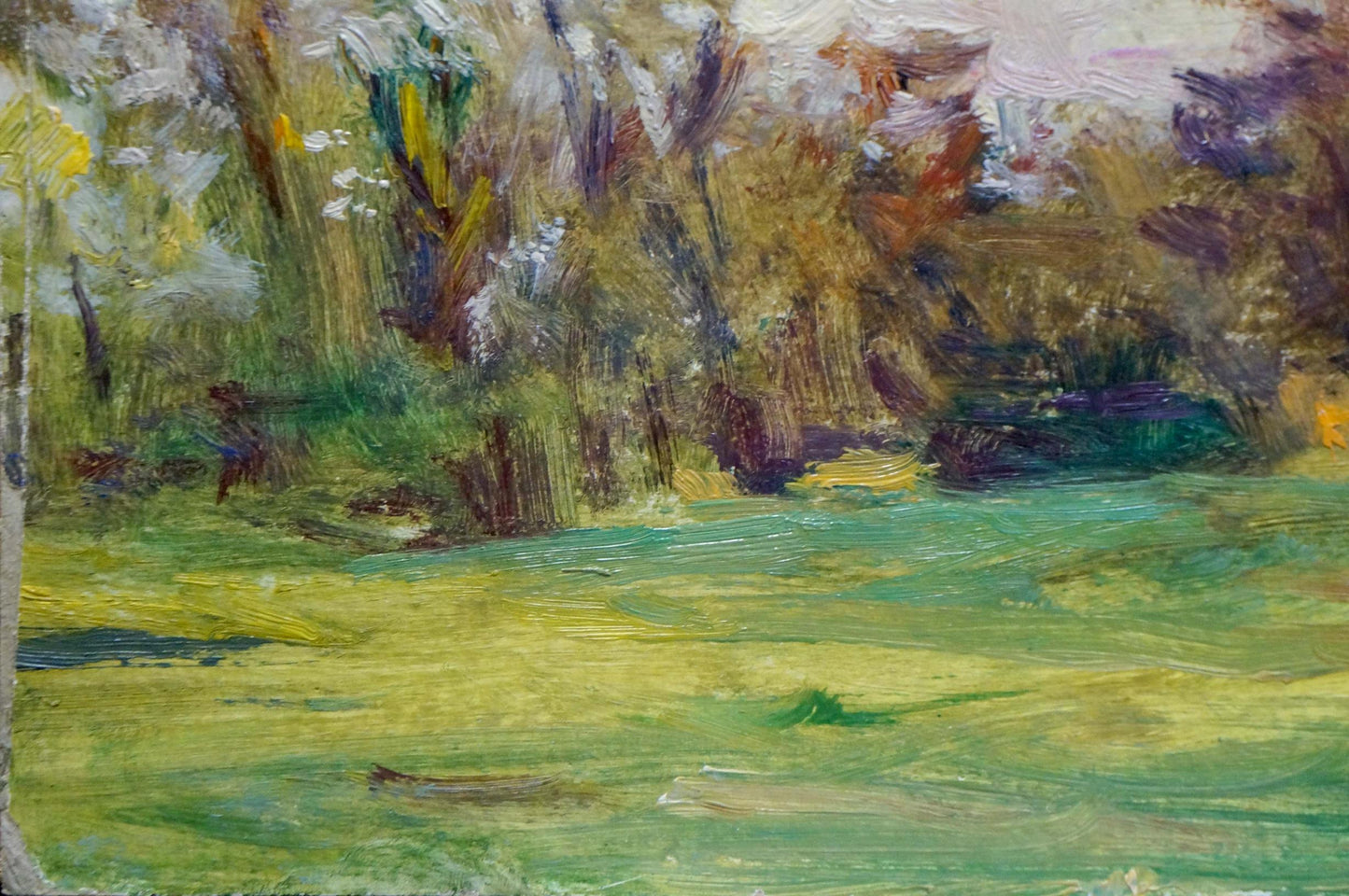 Oil painting Landscape Puzyrkov Viktor Grigorievich