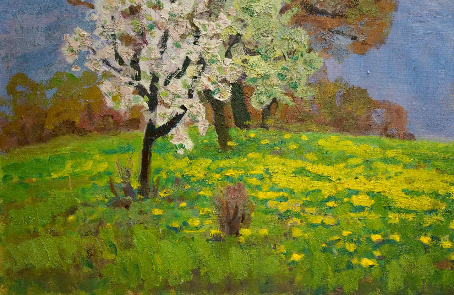 Oil painting Landscape