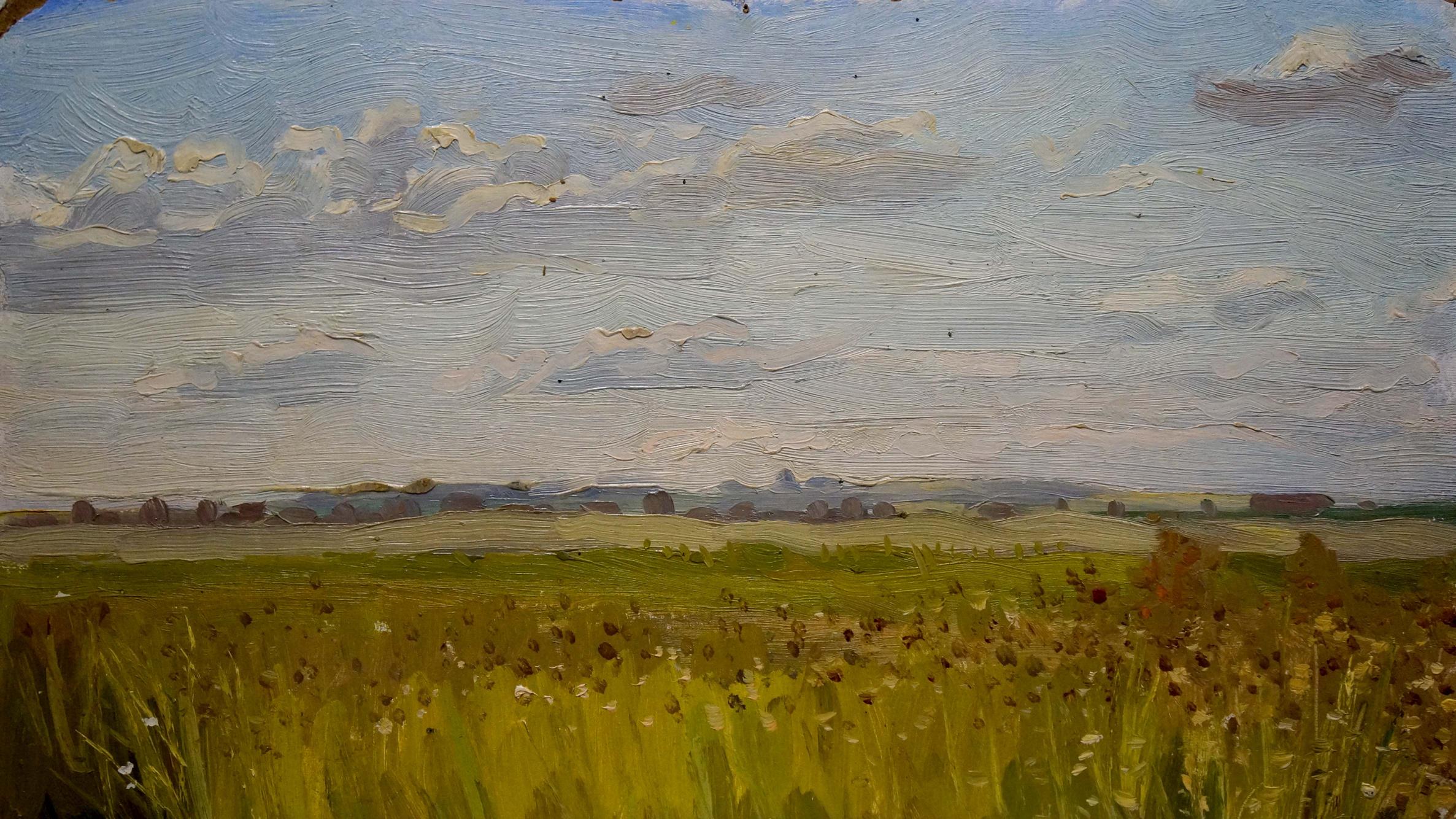 Oil painting Landscape fields
