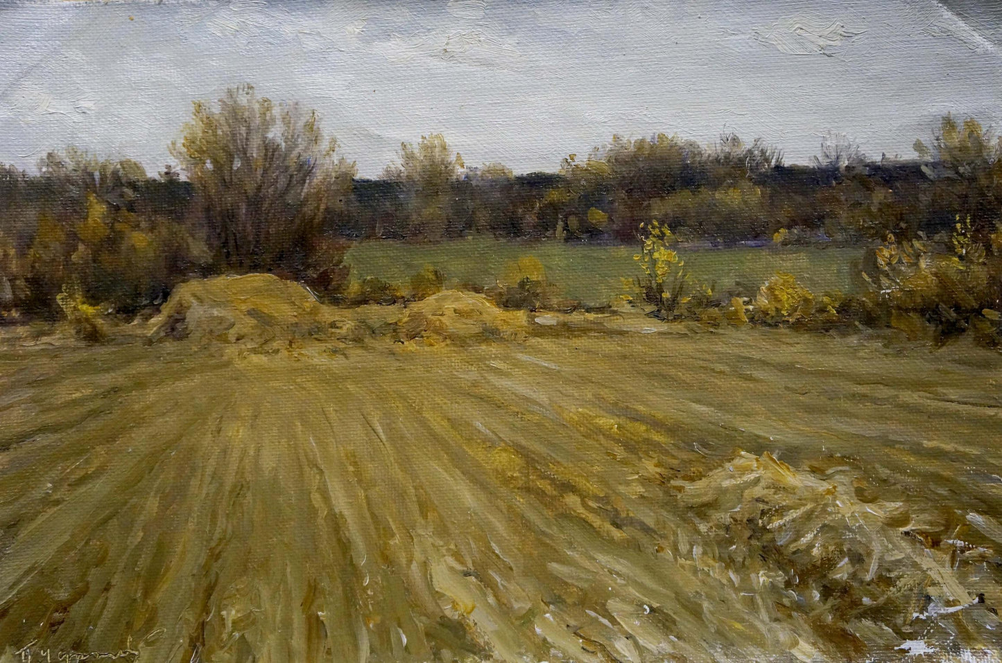 Oil painting Field Chernyshevsky Petr Akimovich