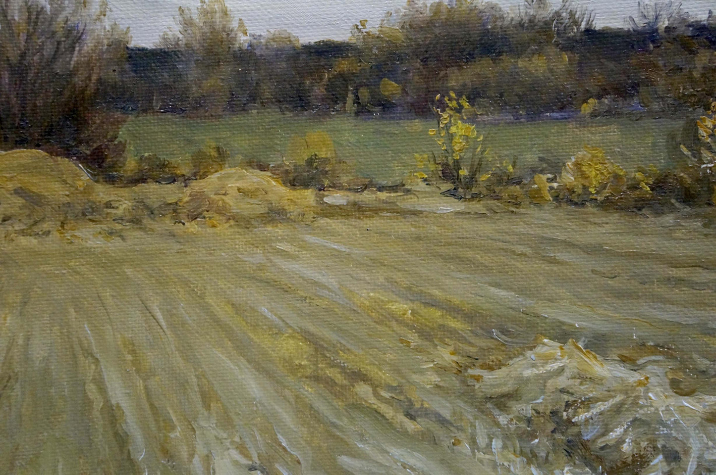 Oil painting Field Chernyshevsky Petr Akimovich