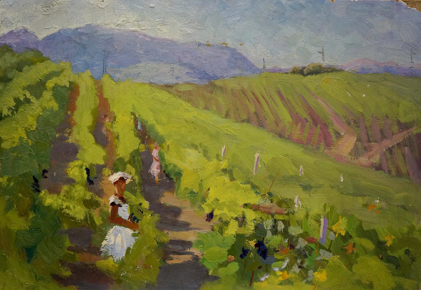 Oil painting Vineyards Stremsky Alexander Ivanovich