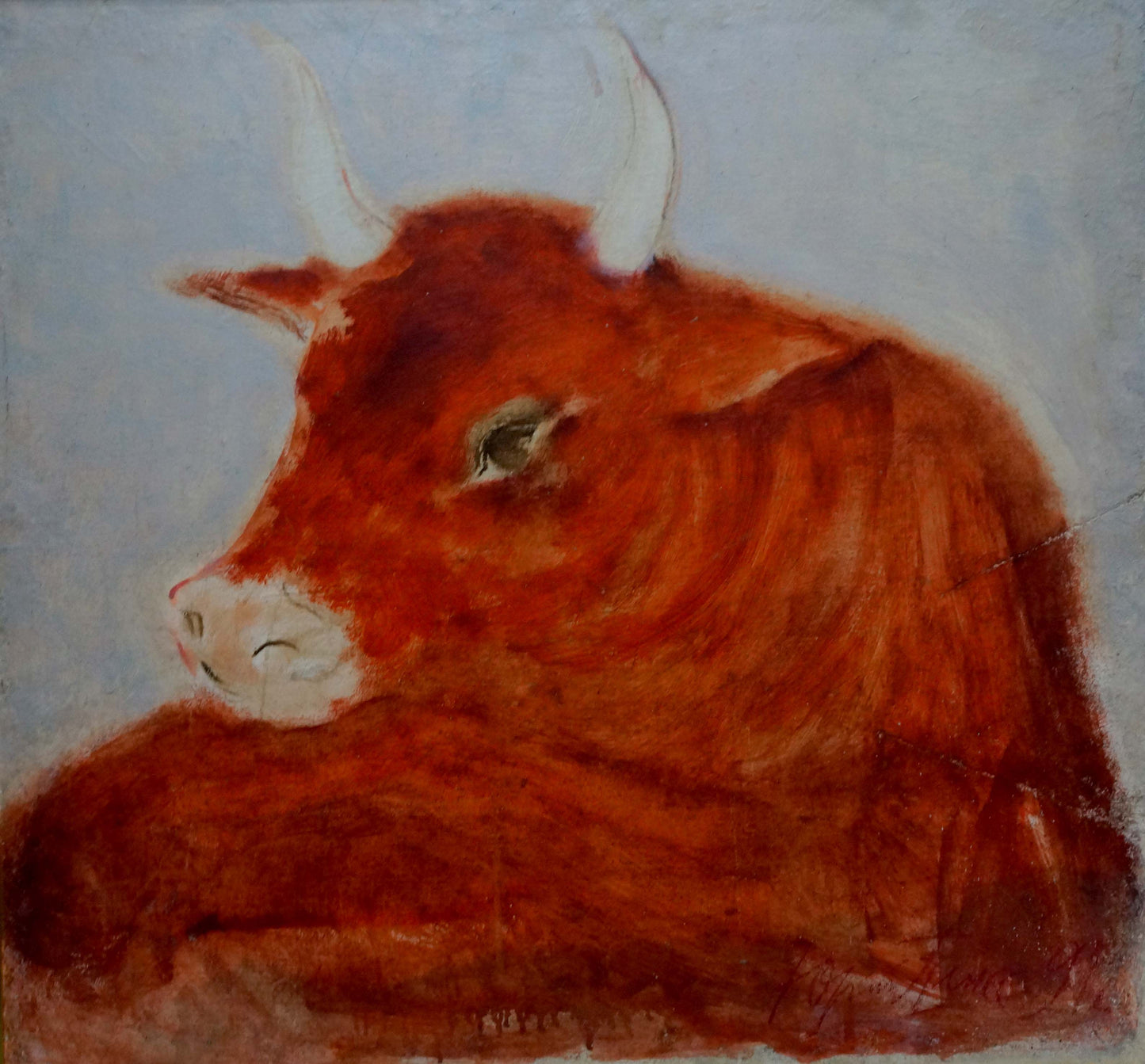 Oil painting Bull Yuri Anatolievich Pliss