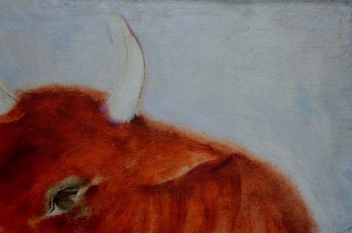 Oil painting Bull Yuri Anatolievich Pliss