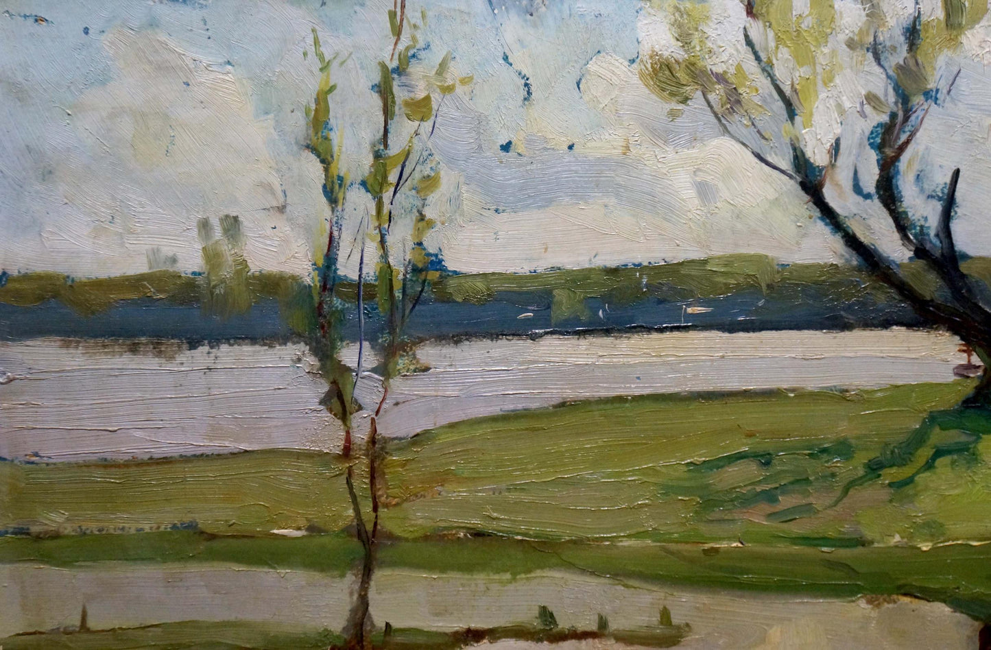 Oil painting Spring on the Dnieper Petrov Georgy Petrovich