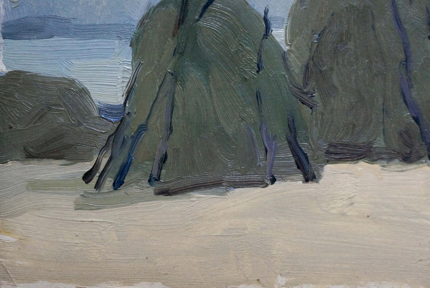 Oil painting Near the shore Pianida Boris Nikitich