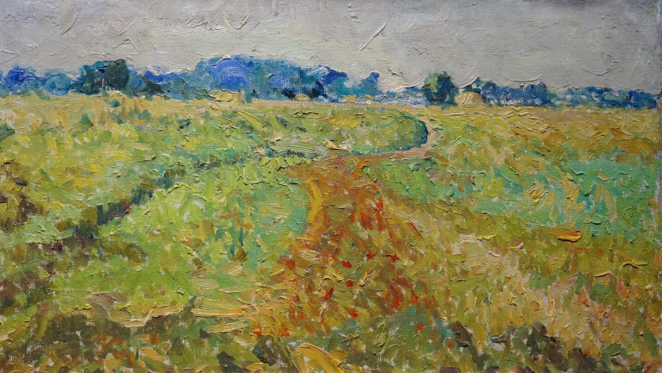 Oil painting Field landscape Sevastyanov Viktor Grigorievich