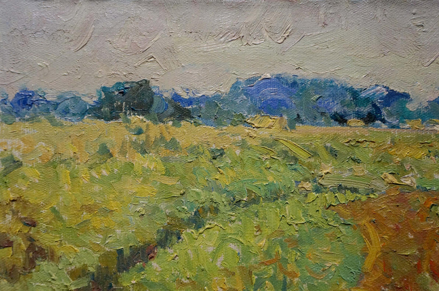 Oil painting Field landscape Sevastyanov Viktor Grigorievich