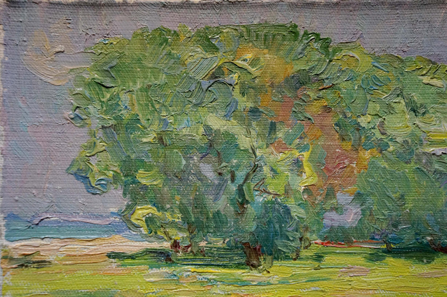 Oil painting Cows on the lawn Sevastyanov Viktor Grigorievich