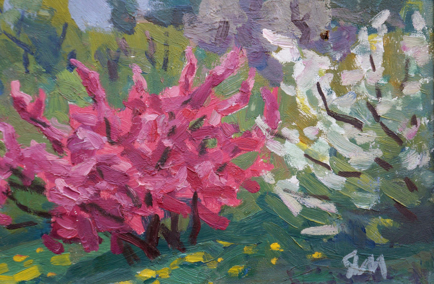 Oil painting Red apple tree Matsievskaya Yadviga Aleksandrovna