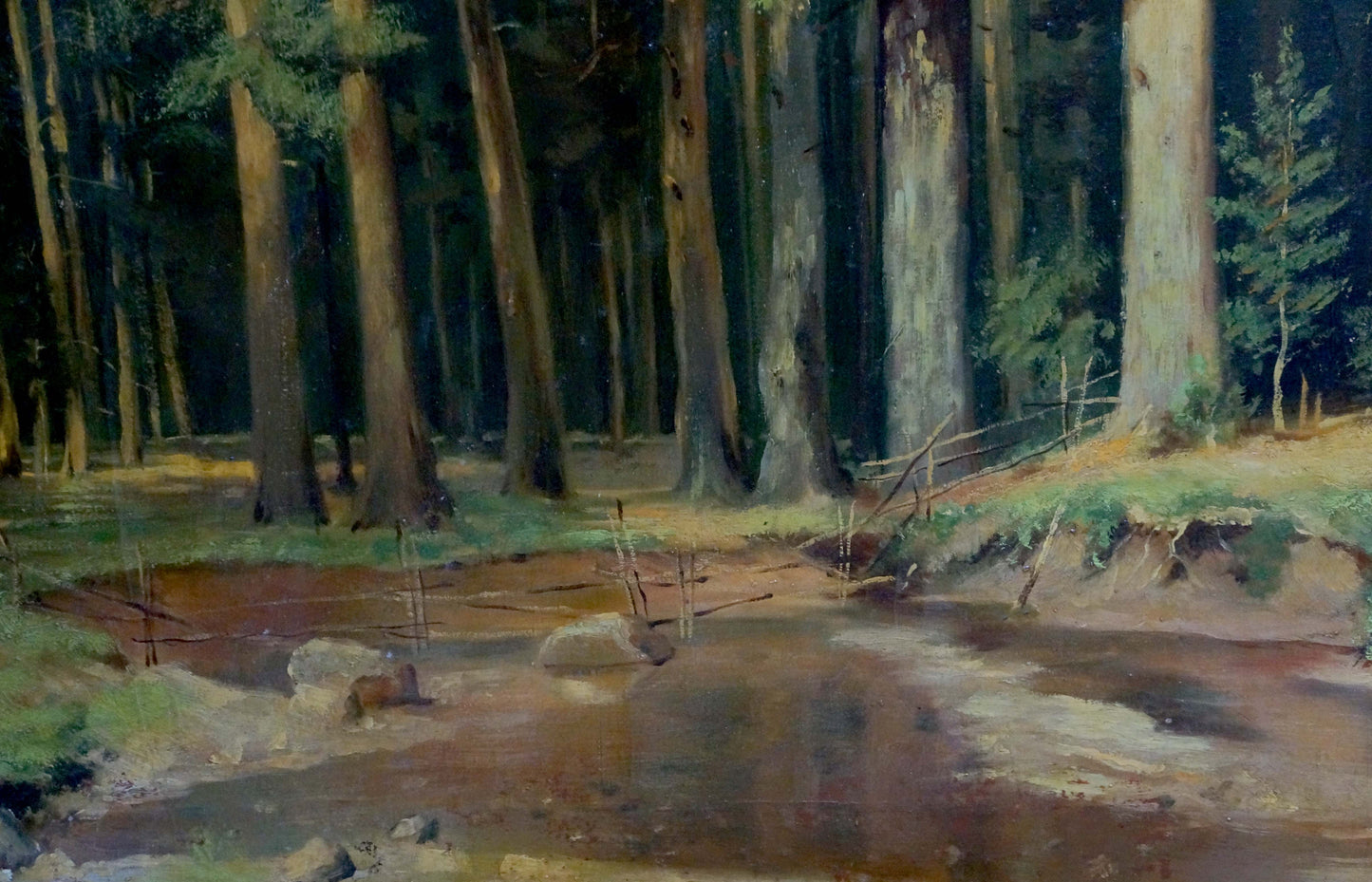 Oil painting Dense forest