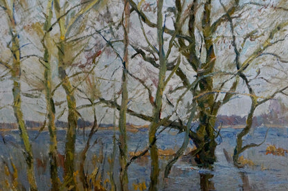 Oil painting Spring flood Kogan-Shats Matvey Borisovich