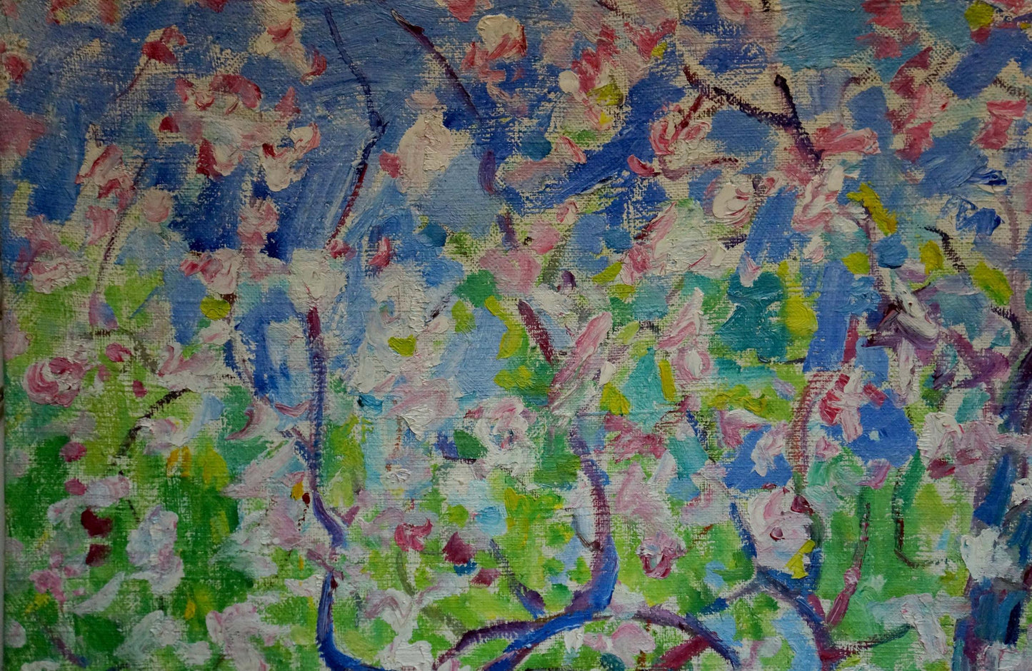Oil painting Blooming apple tree Mandrikova - Donchik Nadezhda Alekseevna