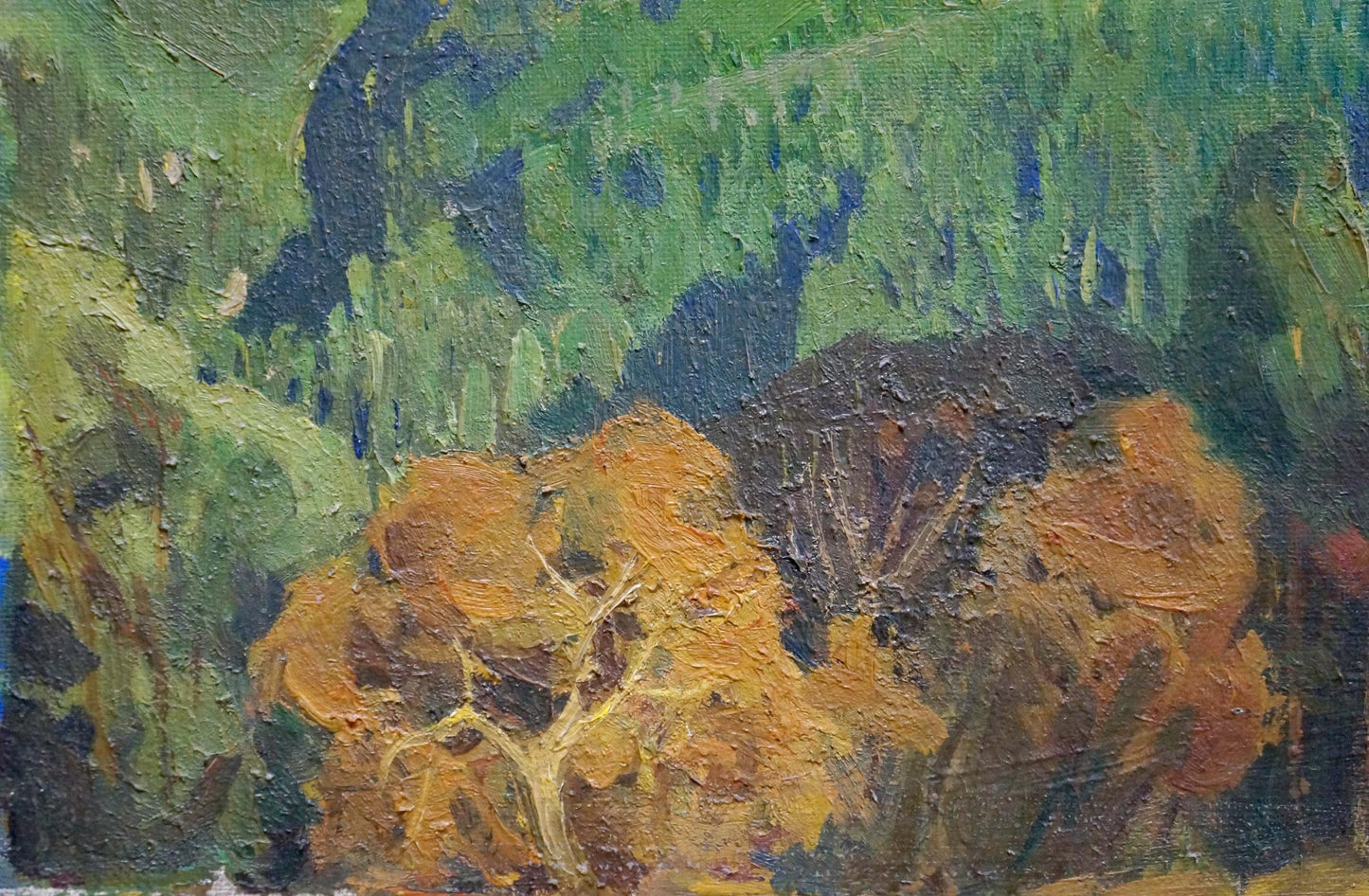 Oil painting Autumn in the mountains Ternovykh Vladimir Vasilievich