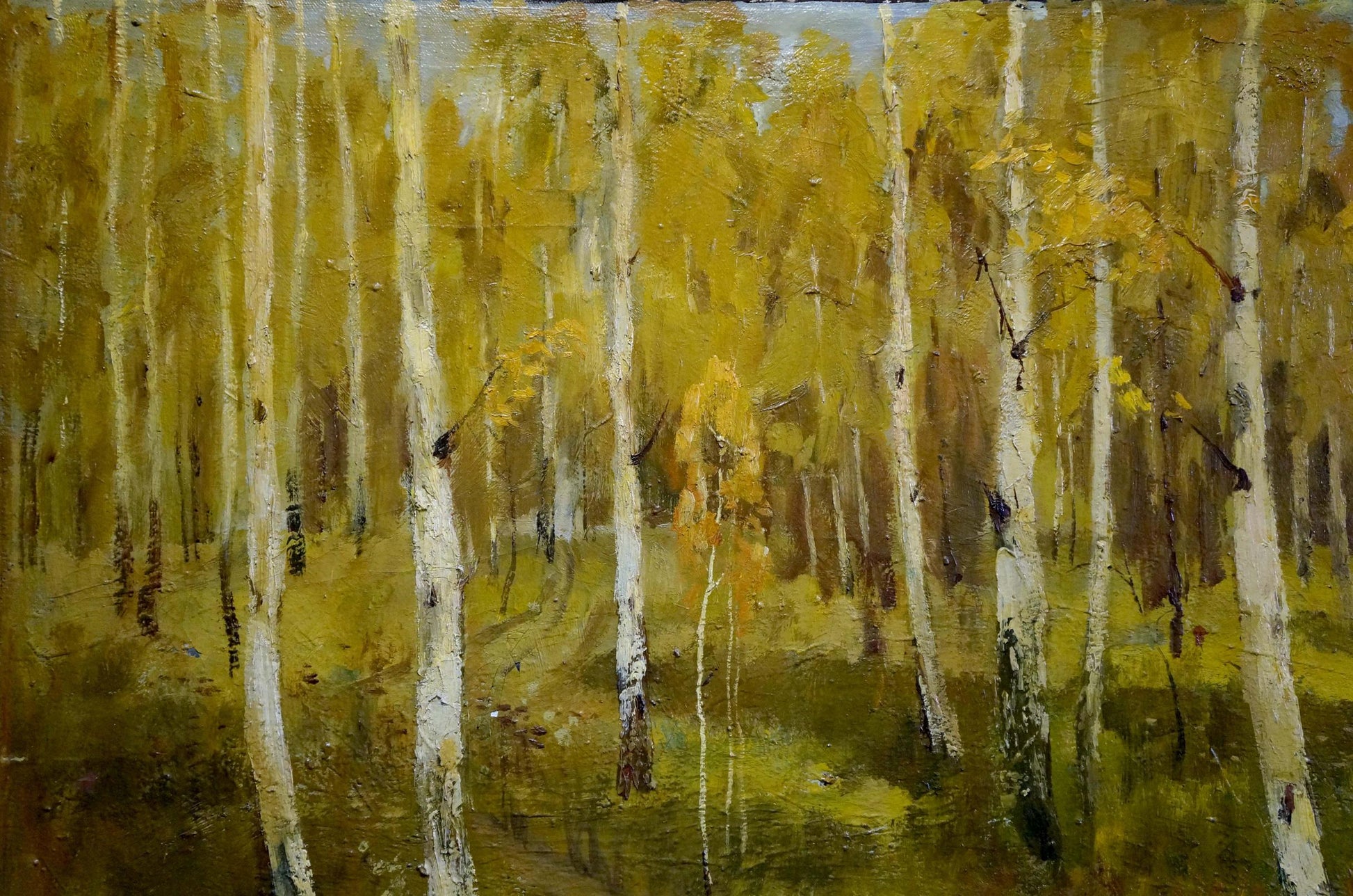 Birch woodland portrayed in an oil painting by Vladimir Ivanovich Fedorchenko