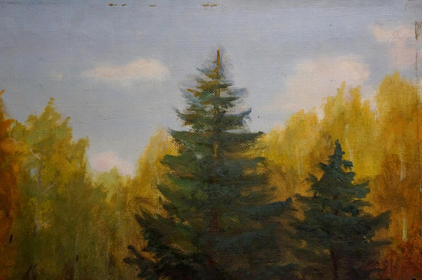 Oil painting Dense forest Konstantin Pavlovich Golovkin