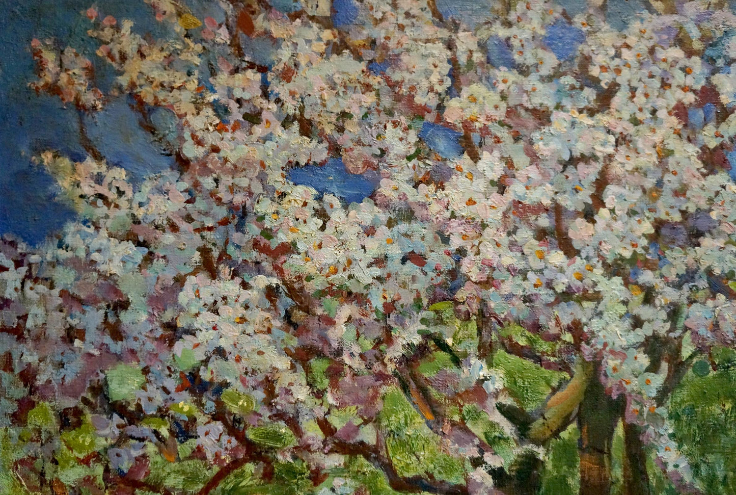 Oil painting Tree blooms Yanchak Elena Vaclavovna