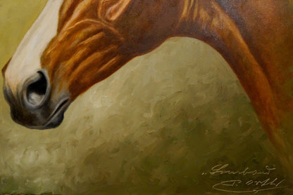 Oil painting Portrait of a brown horse European artist