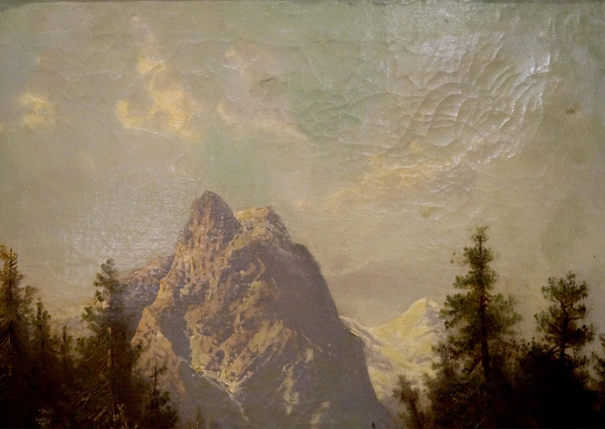 Karl Kaufman's oil painting capturing "Nature"